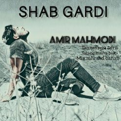 Amir Mahmodi – Shab Gardi